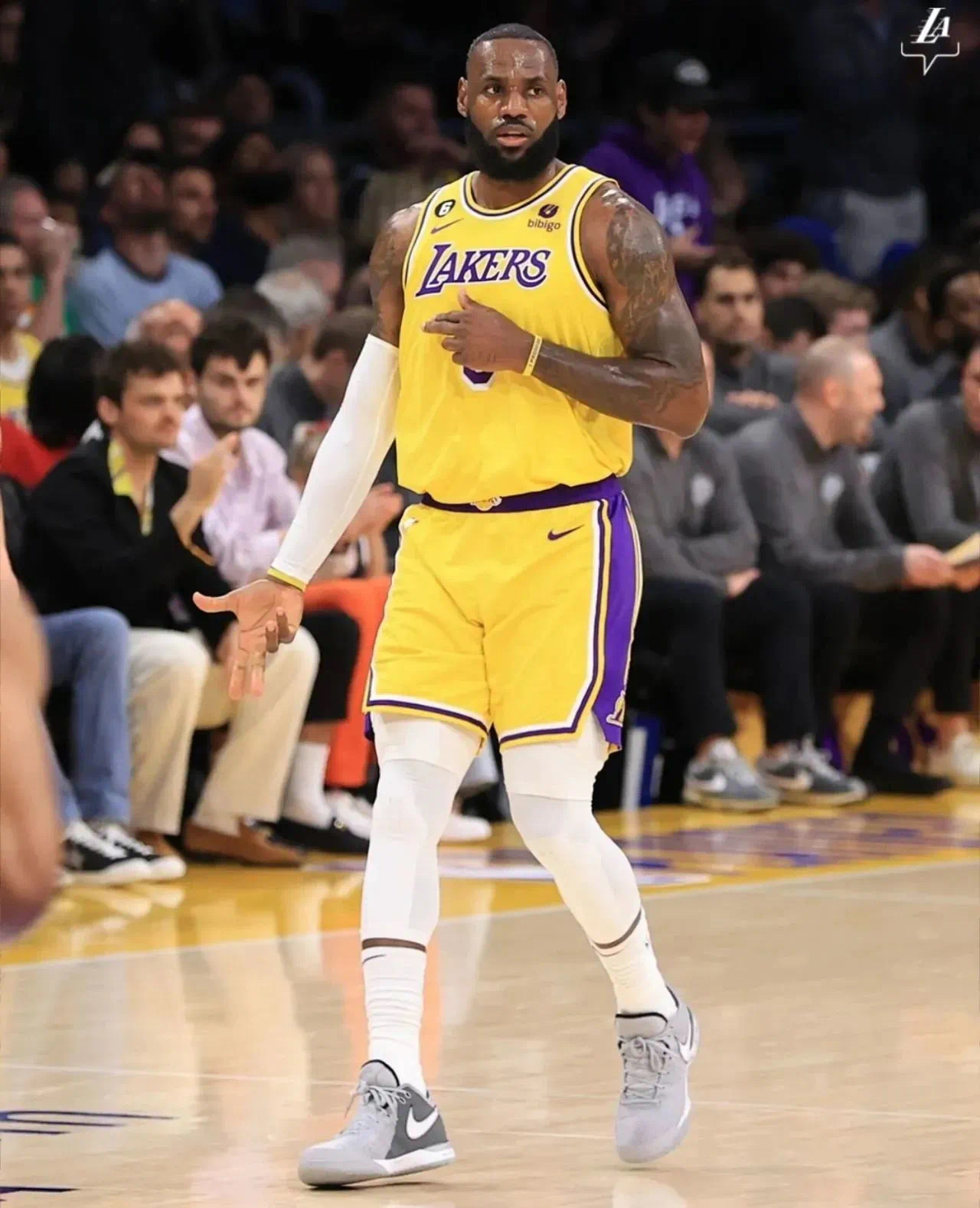 包含掘金横扫福建队，西亚卡姆统治全场的词条